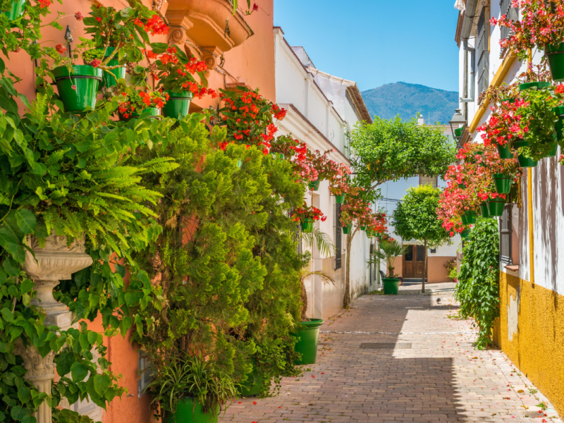 malaga7.png malaga7.png